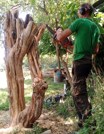 Wood carving een abstract beeld in een stam van vlier
